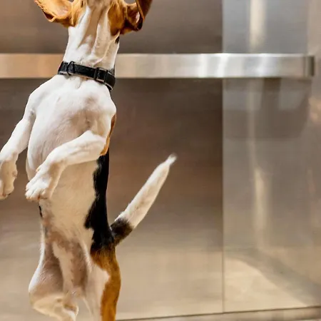 מלון Ibis Centre