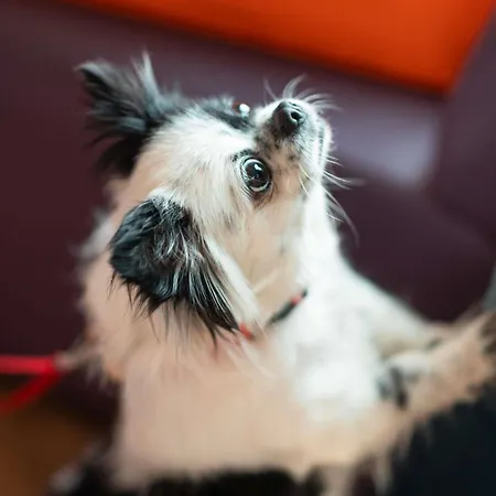 מלון Ibis Centre